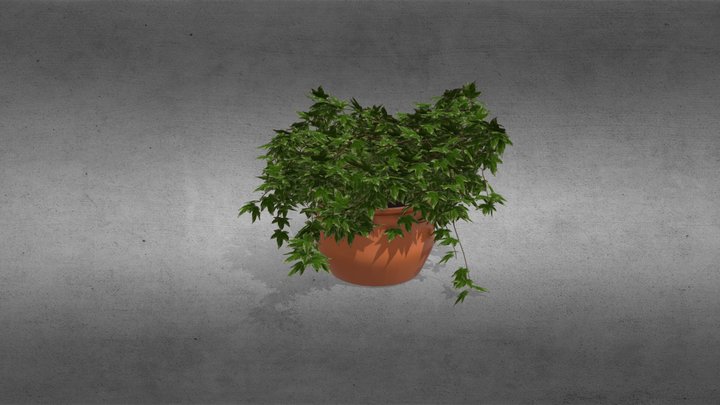 Plant Pot Ivy 3D Model