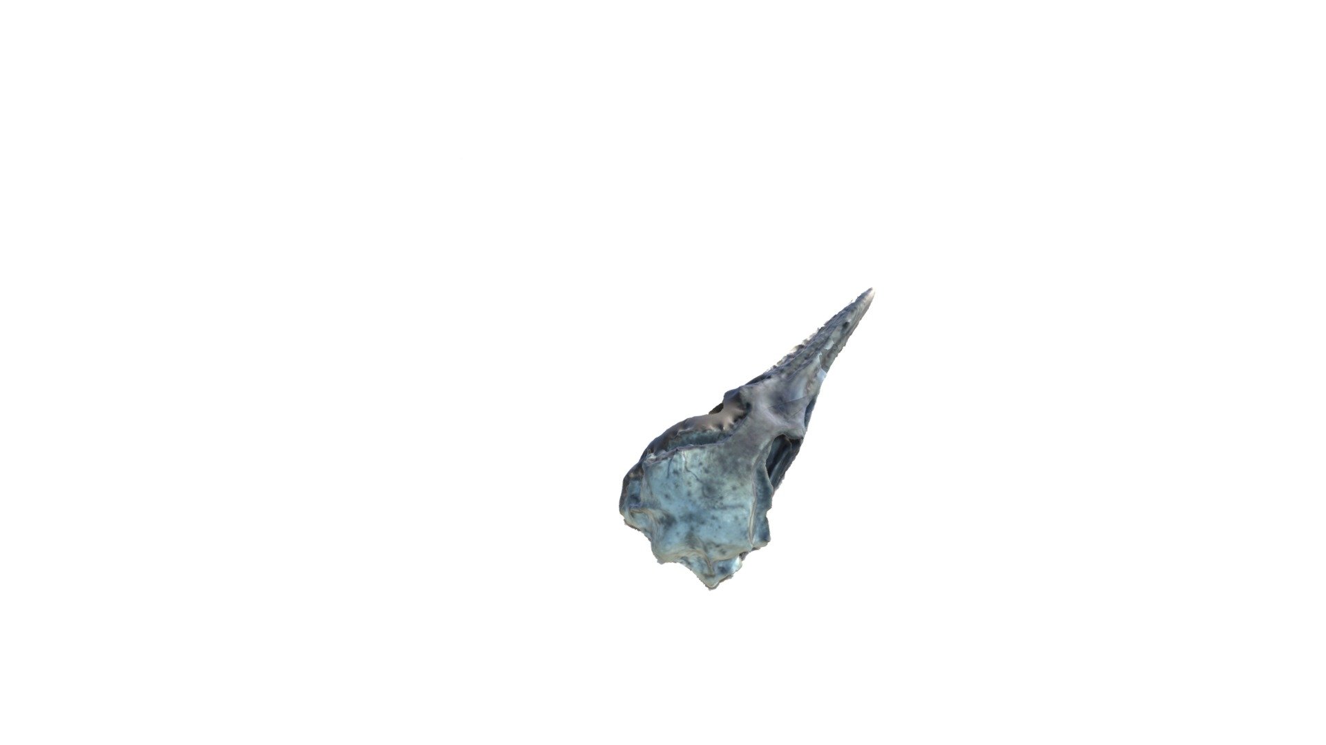 Peng Skull 01 — Sketchfab embed 3D viewer