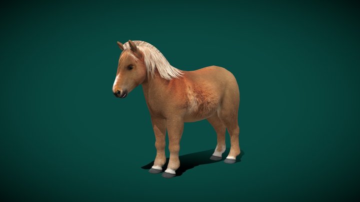 Pony Small Horse (Lowpoly)