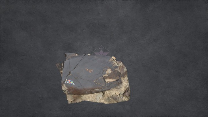 Rock Carving at Dadarbati Das (Rock 78) 3D Model