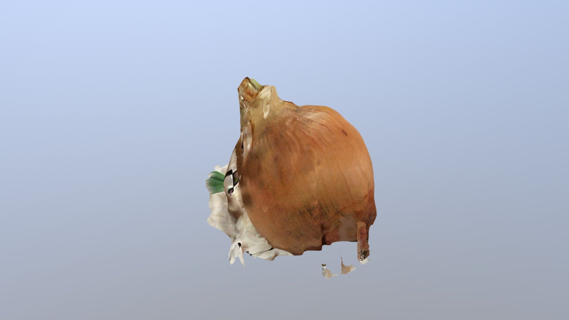 Onion