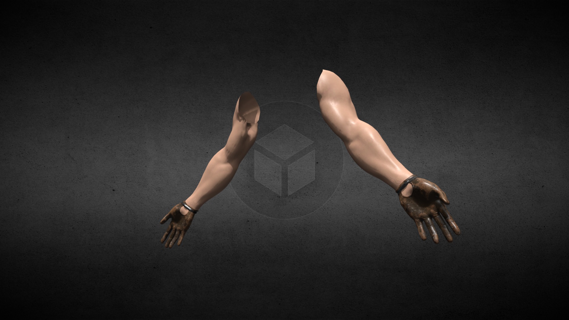 Hands first person view FPS arms
