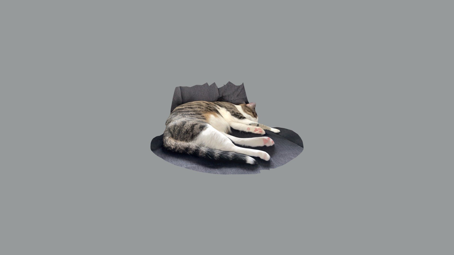 Miso sleep