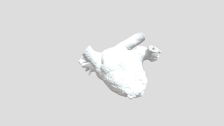 CT_LA_NEM 3D Model