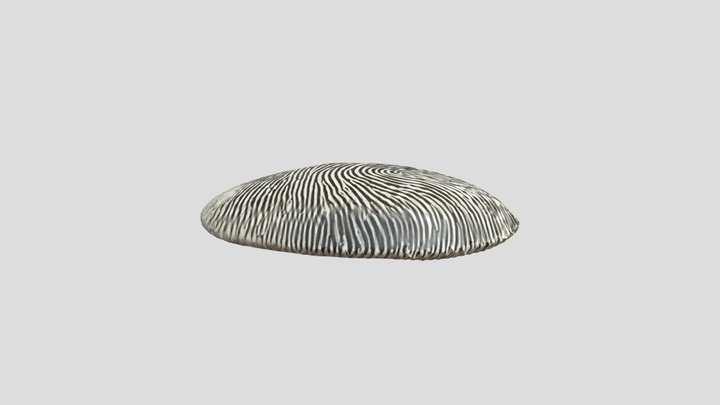 Fingerprint UGA 3D Model