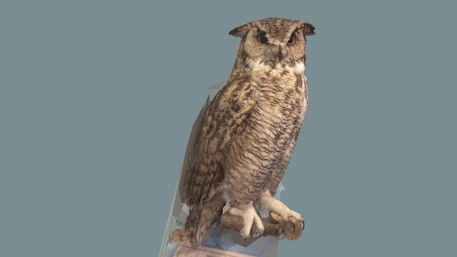 3D model Owl - This is a 3D model of the Owl. The 3D model is about an owl on a branch.