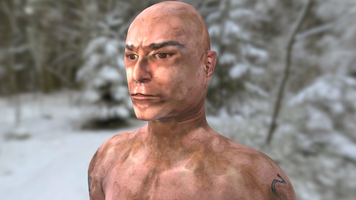 Ash 3D Model