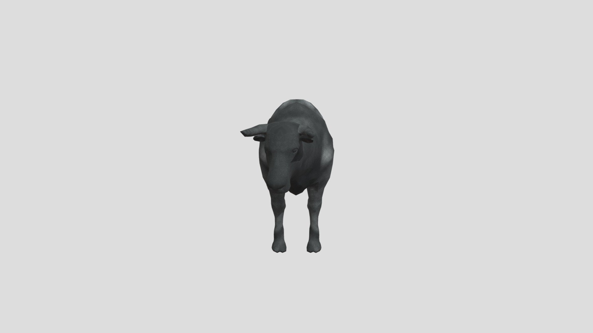 Bull+motions