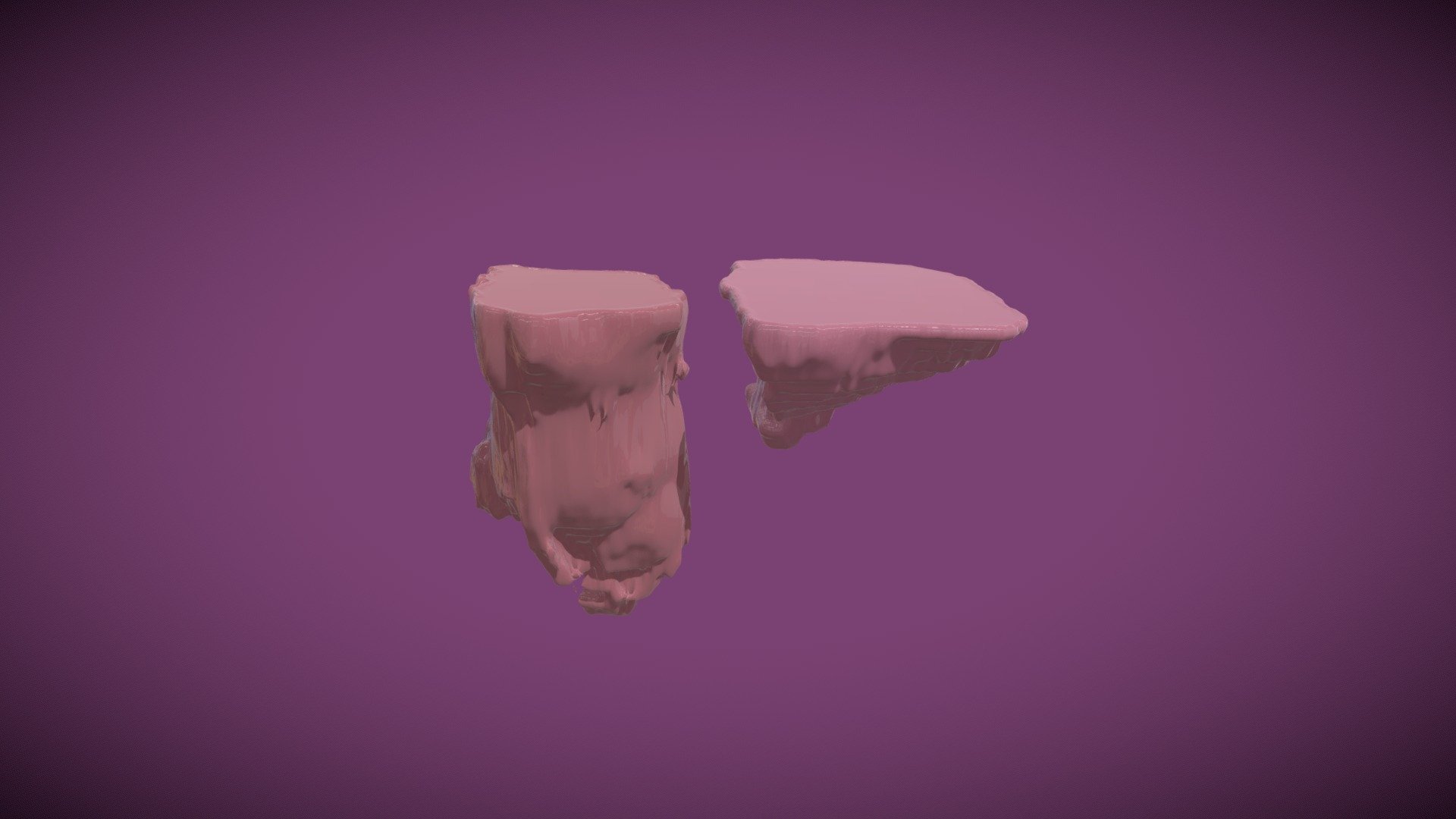Bladder and Rectum