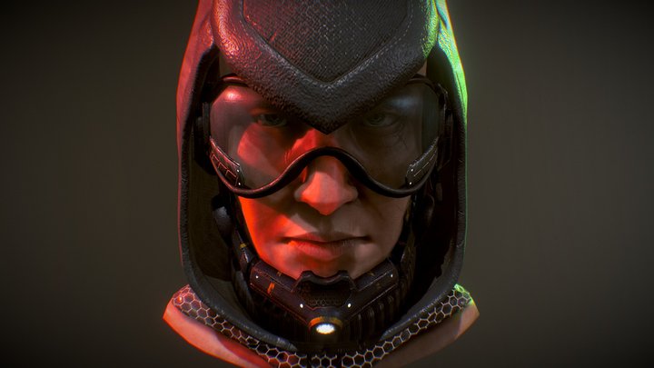 R6 Assassin 3D Model