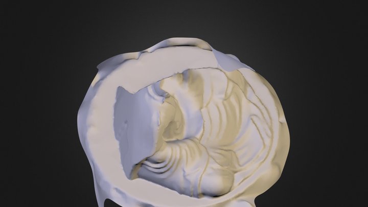 Capture_2013_05_31_17_02_23.obj 3D Model