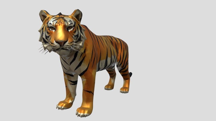 Tigre 3D Model