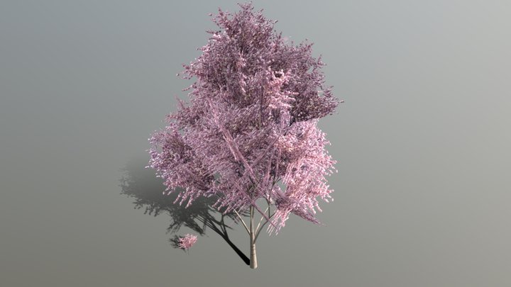 low polly tree test 3D Model