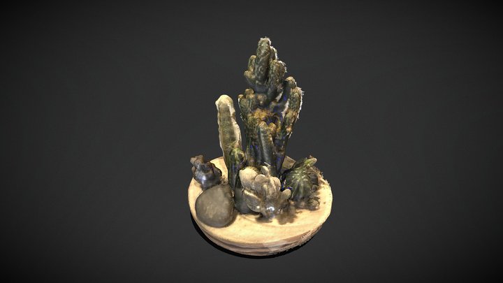 Desk cactus 3D Model