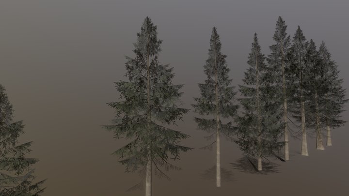 Northern Spruce Package 3D Model