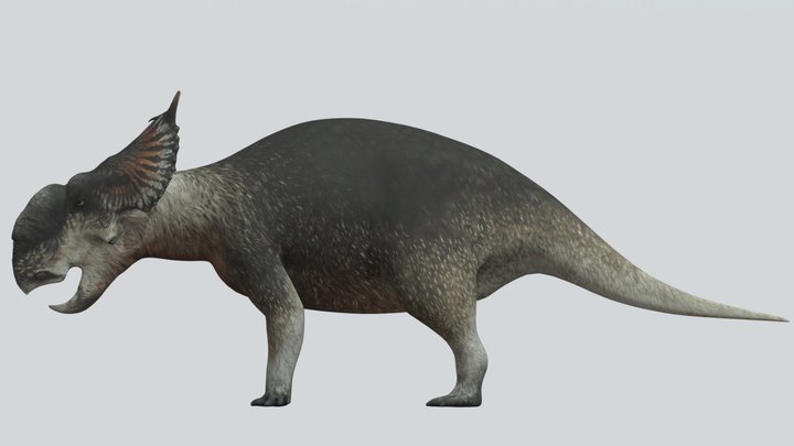 Accurate Pachyrhinosaurus perotorum – Free 3D Model STL
