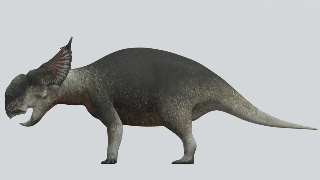 Accurate Pachyrhinosaurus perotorum