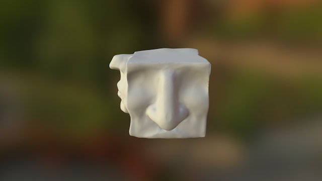 Face Feature Studies 3D Model