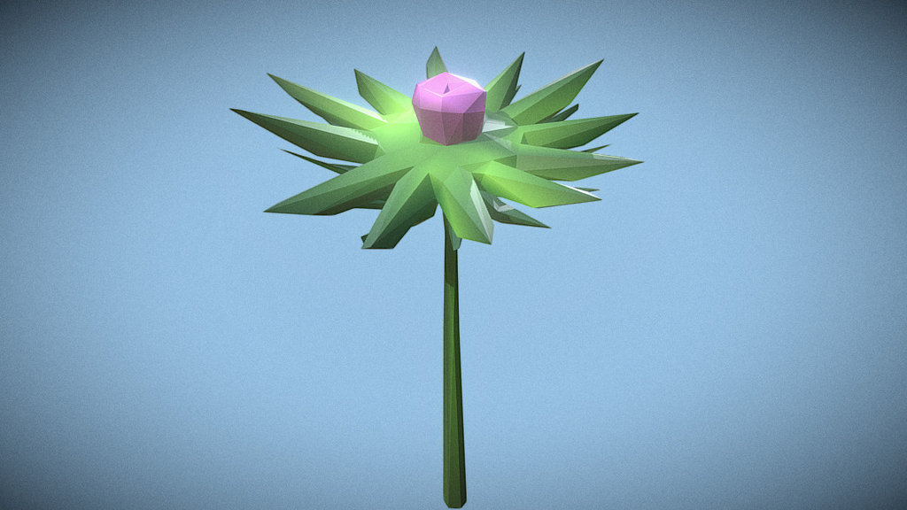 Mega thistle