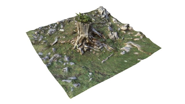 3D_Tree 3D Model