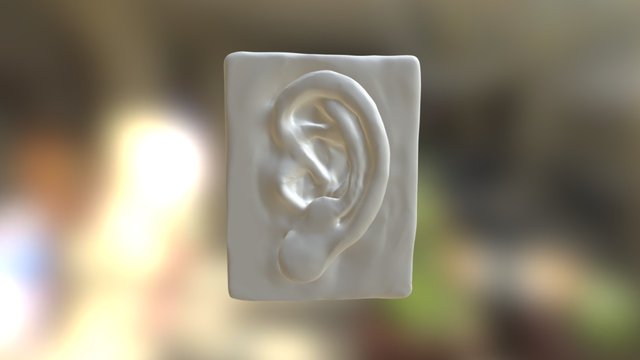 Orelha 3D Model