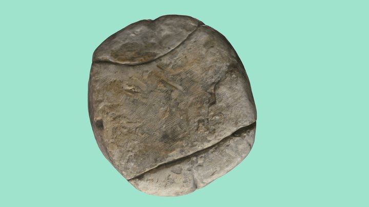 Plastercast Bust Mould 3D Model