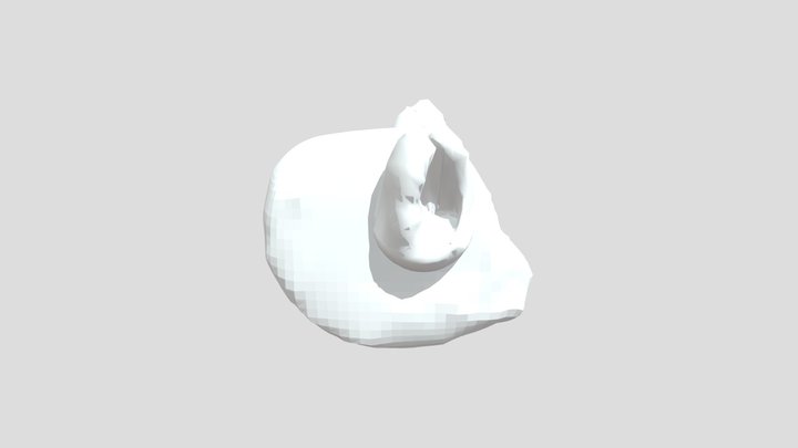 _ Lockhart_0318 Ears 3D Model