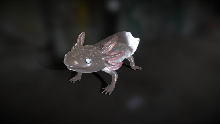 Firefly Axolotl 3D Model