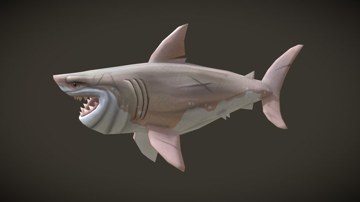 Stylized Shark 3D Model