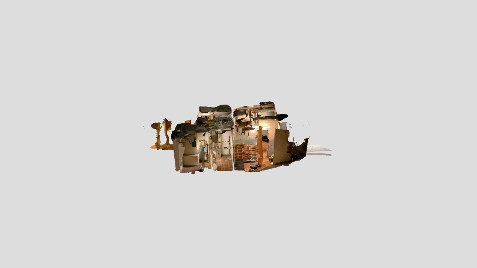 Polycam capture
