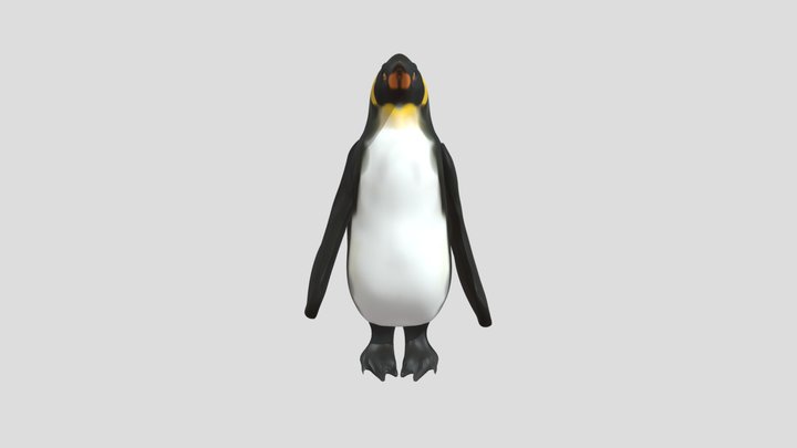 Penguin test 3D Model