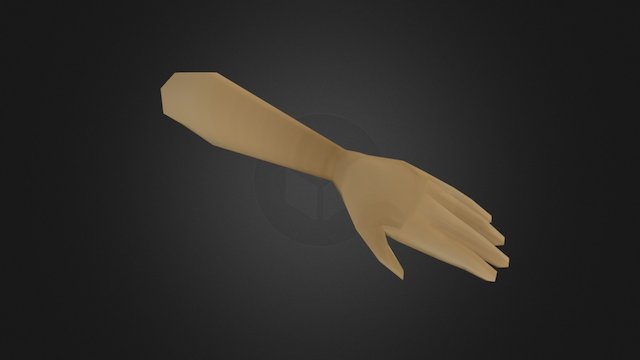 Low Poly Hand 3D Model