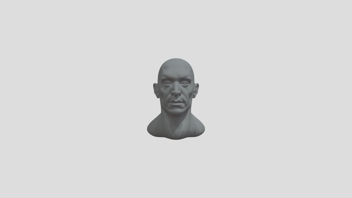 Male Head Practice 3D Model