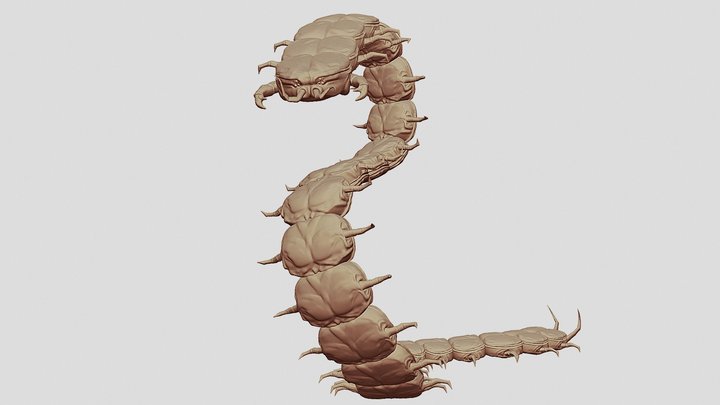 Centipede Sculpt 3D Model