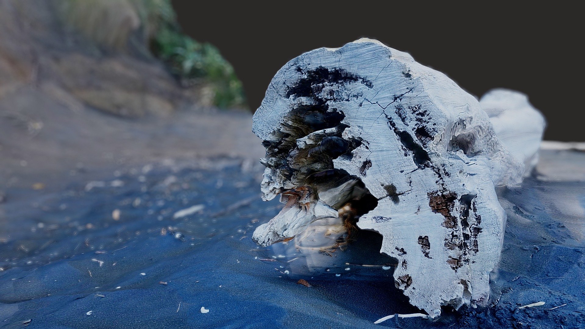 Cliffs and driftwood