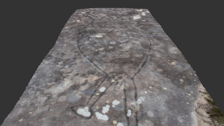 Dharamulan Aboriginal Rock Engraving 3D Model