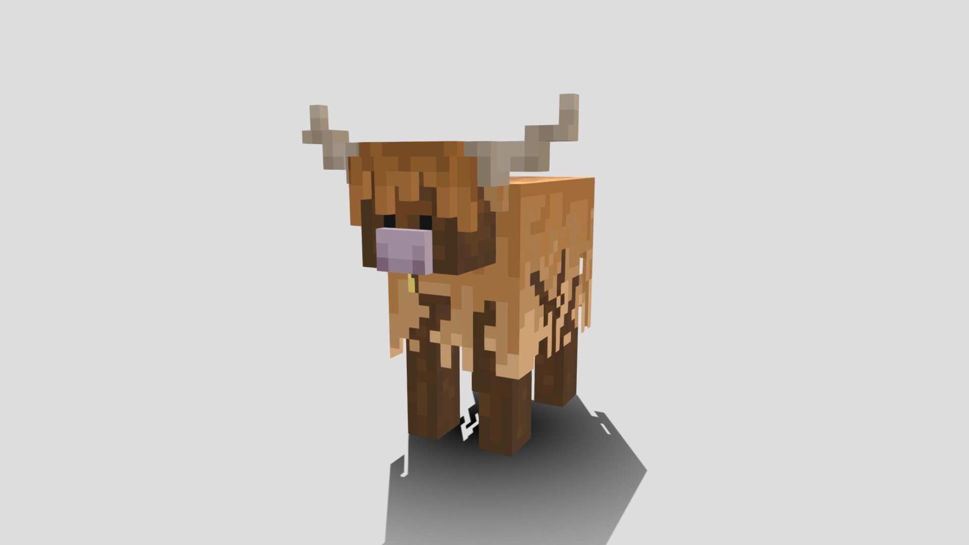 Highland cow