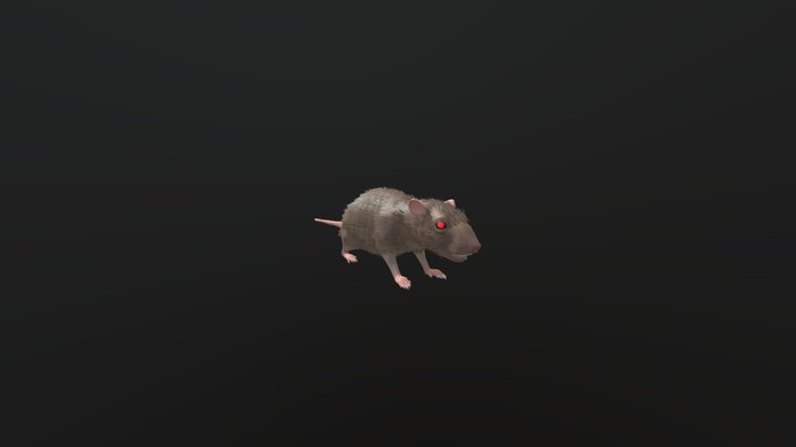 The Rat From Stray 3D Model