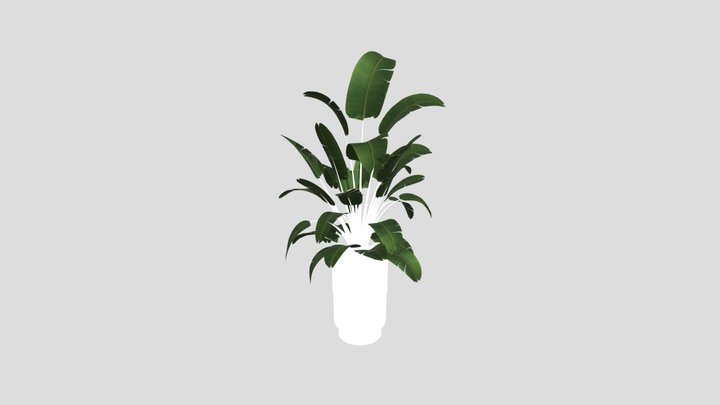 Sj Strelitzia Lux Pot 04 – Modelo 3D gratuito STL