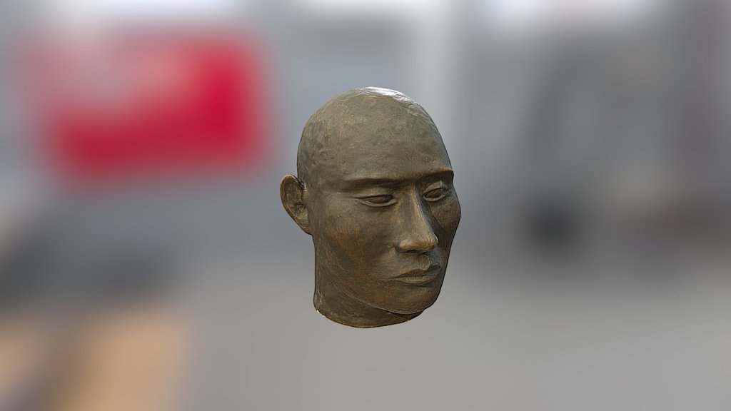 Head