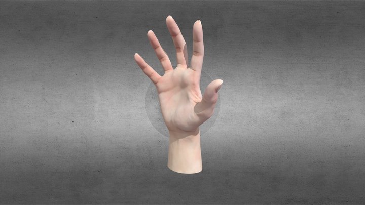 Busto humano