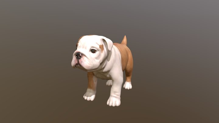 Dog 3D models - Sketchfab