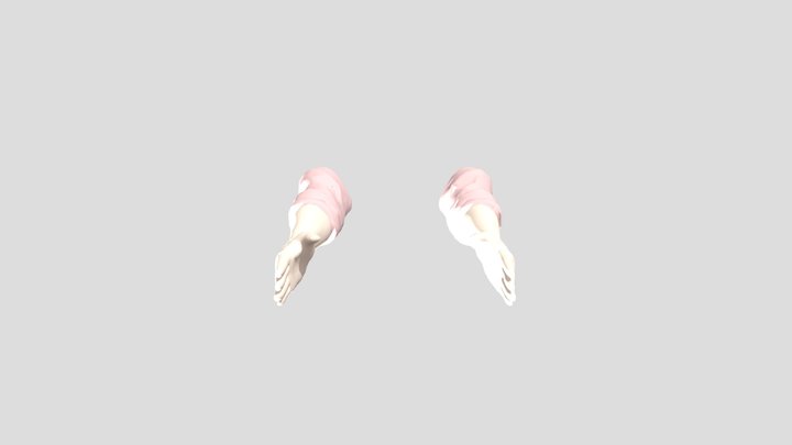 Ins2 Rig 3D Model