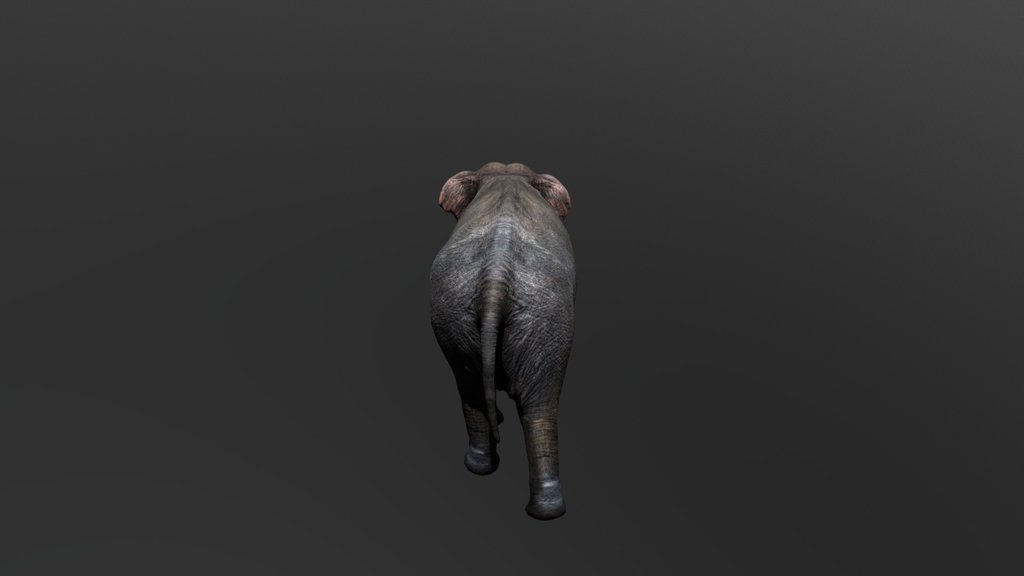 Elephant CYCLE