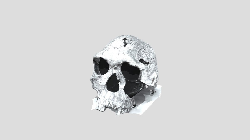 UNC_Scan_31