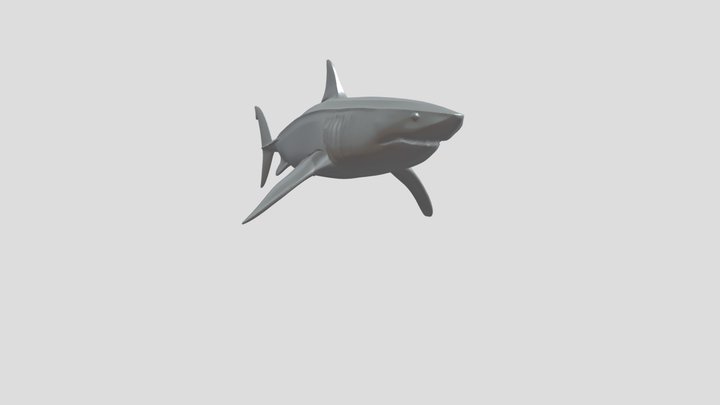 A shark 3D Model
