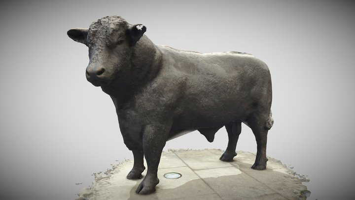 Hereford Hightown Bull 3D Model