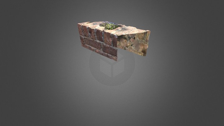 Wall flowers