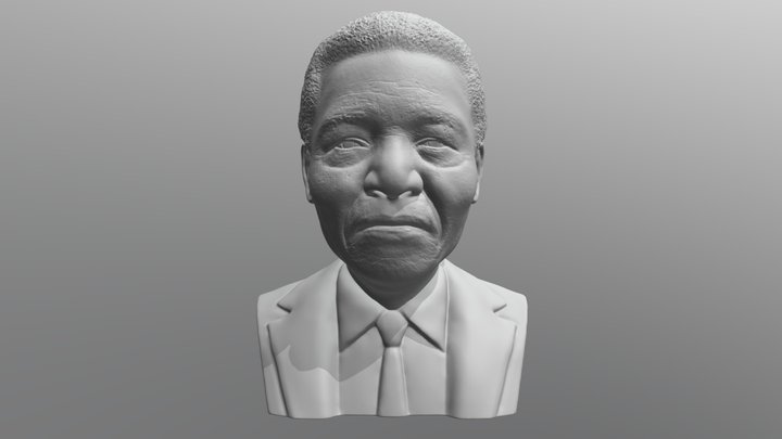 Nelson Mandela bust for 3D printing 3D Model