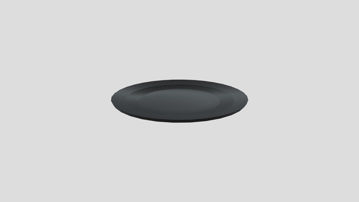 PLATE 3D Model